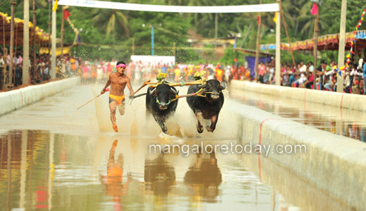Rama Lakshmana Jodukare Kambala